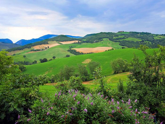 The green hills and fields of the Pesaro Apennines around Cà Le Suore.