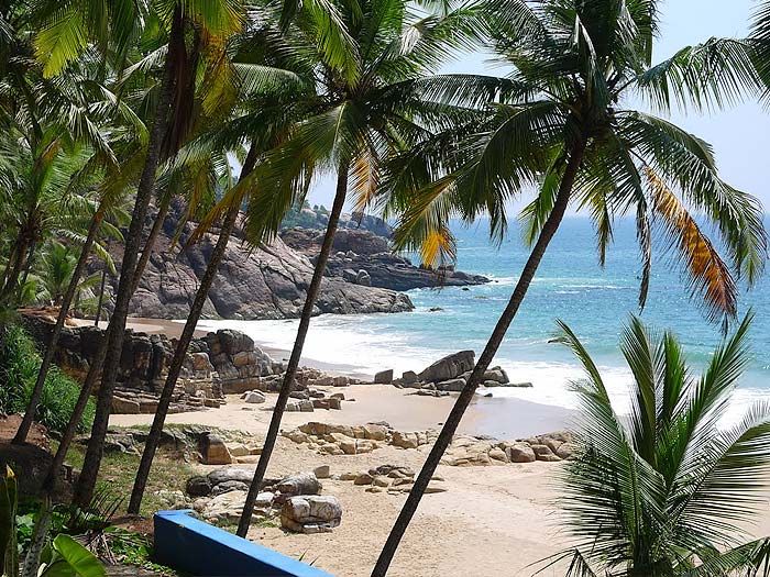 The beach at Kovalam seen through the coconut palms, with rocks along the shore.