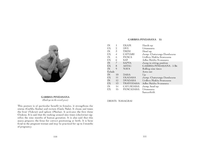 Pages 110 and 111: Garbha Pindasana photographed beside its fifteen vinyasa, the dristi and what the posture works on.